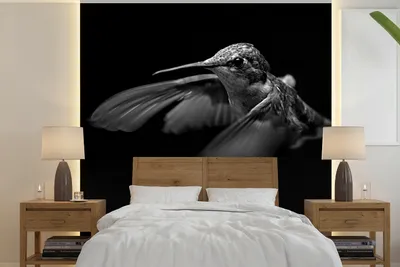Produktbild von MuchoWow® Fototapete für Wohnzimmer oder Schlafzimmer Wandtapete Vinyl Motivtapete Kolibri - Vogel - schwarz und weiß - 300x300 cm - Wanddekoration