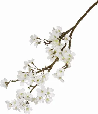 Produktbild von artplants.de Deko Zweig Apfelblütenzweig LINDJA, 55 Blüten, weiß, 105cm - Kunstzweig - Deko Zweig
