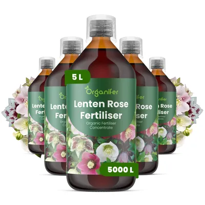 Produktbild von Weihnachtsrose Flüssigdünger 5x1L – 3-4-3 NPK – Flüssig-Pflanzendünger für Weihnachtsrosen – Organifer