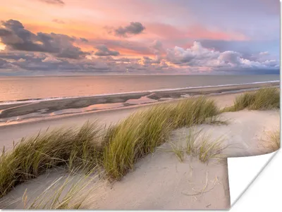 Produktbild von MuchoWow® Poster Strand - Meer - Dünen - Niederlande - Rosa 120x90 cm - Wandbild