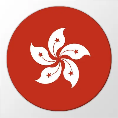 Produktbild von Huuraa Magnet Hong Kong Flagge Geschenk Kühlschrankmagnet 59mm Kühlschrankmagnet Flaschenöffner Hong Kong Flagge Präsent