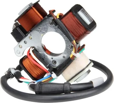 Immagine prodotto di Alternatore di accensione per ciclomotore Piaggio Vespa Ciao Bravo Si - Citomerx 105508