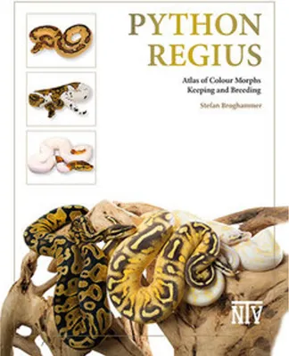 Produktbild von Python regius