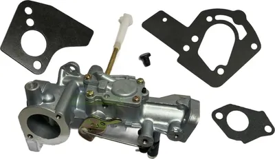 Produktbild von Vergaser für Briggs & Stratton 134202 137202 133212 Serie / 498298 692784 492611