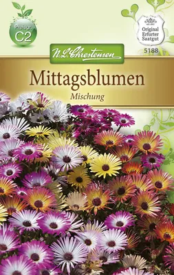 Produktbild von Mittagsblume Mischung | Blumensamenmischung von N.L. Chrestensen