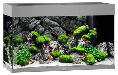 Productafbeelding van Juwel Rio 125 LED | 125L | 81 x 36 x 50CM Grijs