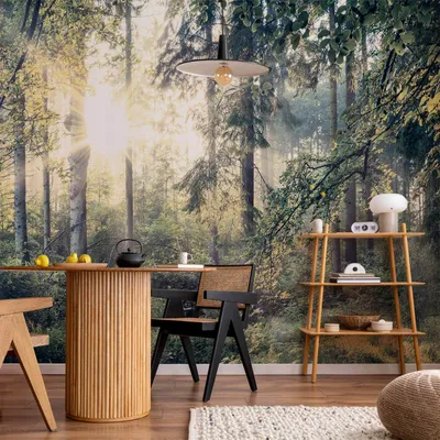 Produktbild von Vlies Fototapete - Tales of a Forest 400x280 cm Landschaften c-C-0032-a-d