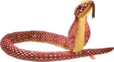 Produktbild von WR Snakesss 137 cm. Folienkobra