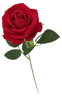 Produktbild von Künstliche Rose für Blumenarrangements, realistische, langstielige Kunstrose aus Seide, ideal für Brautpartys, Tischdekorationen und Hochzeitsfeiern.