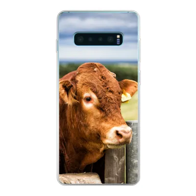 Produktbild von MuchoWow® Handyhülle Schutzhülle Hülle für Samsung Galaxy S10 Lite Schottischer Highlander - Berg - Zaun Silikon Softcase Handy Hülle - Schutz