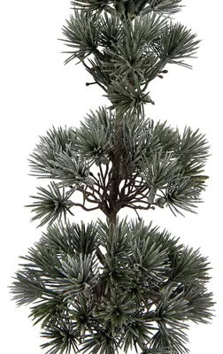 Image de Clayre & Eef Mini-sapin de Noël artificiel 14x14x60 cm Vert Bois