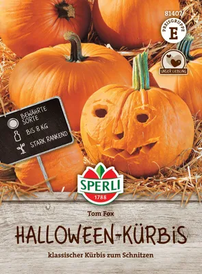 Produktbild von SPERLI Kürbissamen Tom Fox Cucurbita pepo 8 Pflanzen