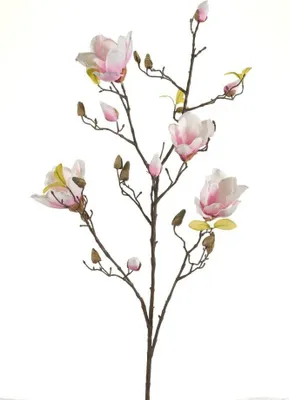 Produktbild von künstlicher Magnolienzweig creme weiß pink H. 105cm Emerald Kunstblumen