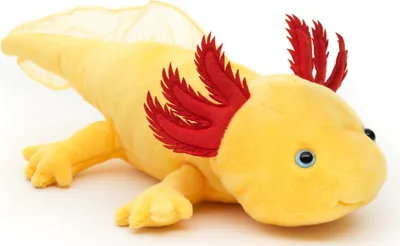 A yellow plush axolotl toy with red gills and blue eyes is lying on a white background.
