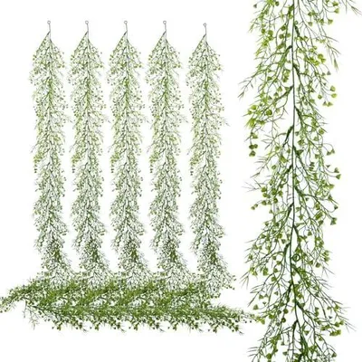 eibe heimisch Jetzt Heimische Eibe online kaufen bei Bohlken Pflanzenversand – Bohlken  Pflanzenversand GbR main image 1