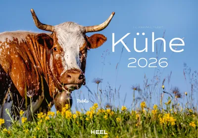 Produktbild von Klein, J: Kühe Kalender 2026 Wandkalender