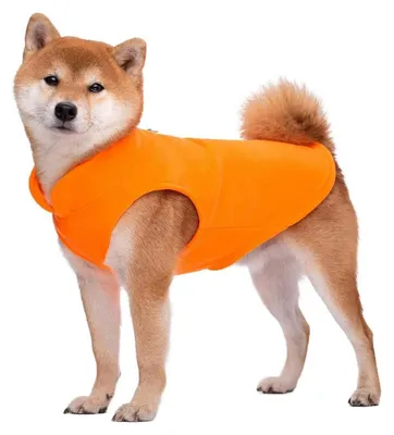 Immagine prodotto di Gilet in pile per cani, taglia XL, colore arancione, ideale per le giornate fredde