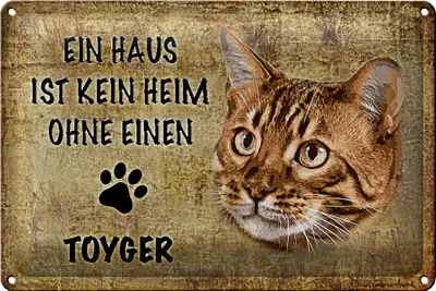 Produktbild von Blechschild Spruch 30x20cm Toyger Katze ohne kein Heim