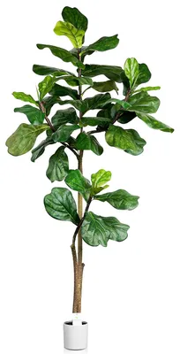 Künstlicher Feigenbaum 180 cm, tropische Kunstpflanze, weißer Topf