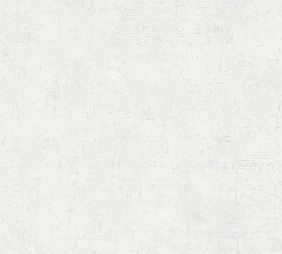 Produktbild von A.S. Création Unitapete Trendwall 2 einfarbige Tapete unifarben Vliestapete grau weiß 10,05 m x 0,53 m