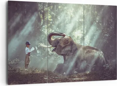Produktbild von Bild auf Leinwand - Leinwandbild - Elefant Dschungel Stoßzahn - 165x110cm - Wand Bild - Wanddeko - Leinwanddruck - Bilder - Kunstdruck - Wanddekoration - Leinwand bilder - Wandkunst - CE165x110-3486