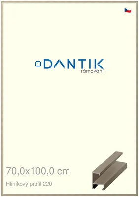 Obrázok produktu pre Rám DANTIK 70x100 | ALU profil 6220 champagne (Plexi Clear)