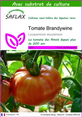 Image de SAFLAX  - Tomate Brandywine - 10 graines - Avec substrat - Lycopersicon