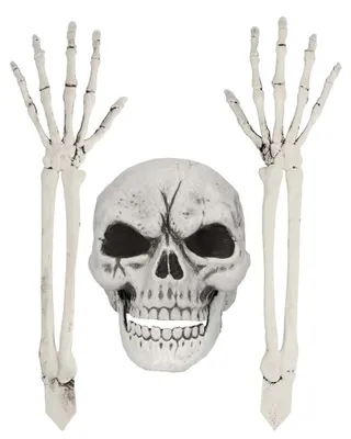 Produktbild von Gartenset Halloween Skelett