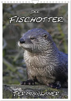 Produktbild von Der Fischotter-Terminplaner (Wandkalender 2026 DIN A4 hoch), CALVENDO Monatskalender