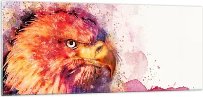 Produktbild von Bilder auf glas - Adler Vogel Feder - 100x40cm - Glasbilder - Wandbilder - Kunstdruck - zum Aufhängen bereit - Wanddekoration aus Glas - Glas Bilder - Wandbild auf Glas - Einteilig - GAB100x40-4054