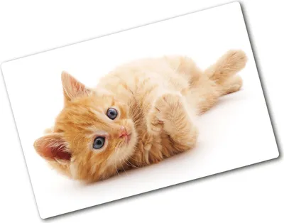 Produktbild von Tulup Glas Herdabdeckplatte - 80x52 cm - Glaskeramikkochfeld-Abdeckung Spritzschutz Glasabdeckplatte - Einteilig - Tiere - Rote Katze - Orange