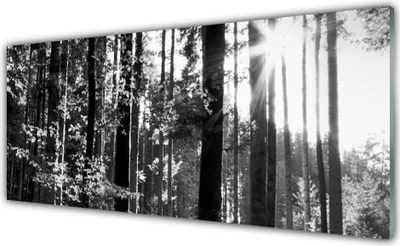 Produktbild von Glasbilder 125x50 Wandbild Druck auf Glas Wald Natur