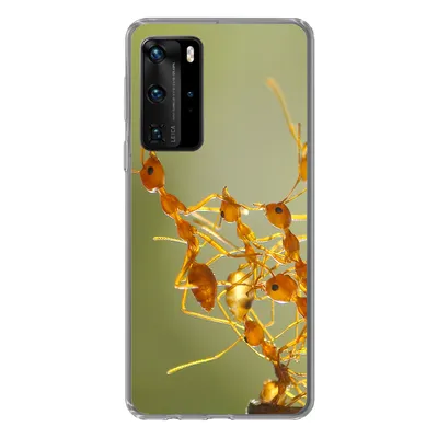Produktbild von MuchoWow® Handyhülle Schutzhülle Hülle für Huawei P40 Pro Ameisen - Orange - Tiere Silikon Softcase Handy Hülle - Schutz