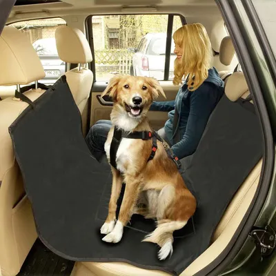 Produktbild von Karlie - CAR GUARD CABIN Auto Schondecke