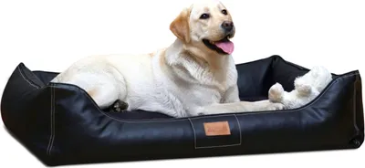 Produktbild von tierlando® Orthopädisches Hundebett Maddox Kunstleder Hundesofa Mittelgroß Große Hunde Hundesofa XL XXL - Größe: 120x85cm | Farbe: 03 Schwarz