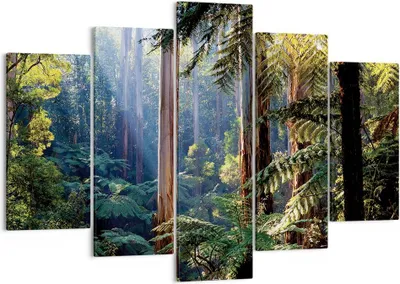 Produktbild von Bild auf Leinwand - Leinwandbild - 5 Teile - Morgendämmerung Bäume Wald - 150x100cm - Wand Bild - Wanddeko - Wandbilder - Leinwanddruck - Bilder - Wanddekoration - Leinwand bilder - EA150x100-4403
