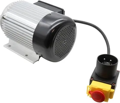 Zdjęcie produktu dla Silnik elektryczny 230V + przełącznik, kompatybilny z rozdrabniaczem do drewna Atika ASP 5,5