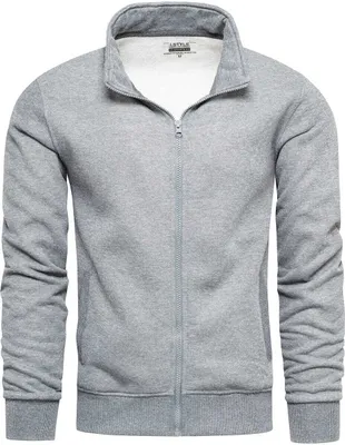 Produktbild von Recea Sweatshirt mit Reißverschluss für Männer Bladeus grau XXL