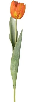 Produktbild von artplants.de Kunstblume Tulpe GUSNAV, orange, 50cm - Deko Tulpe