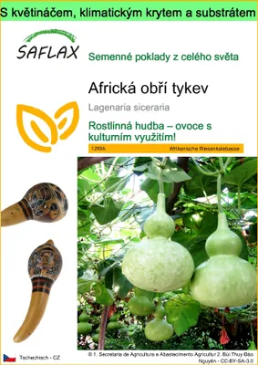 Obrázek produktu pro SAFLAX Garden to go - Africká obří tykev - Lagenaria siceraria - 15 Semena - S květináčem, klimatickou poklicí a pěstebním substrátem