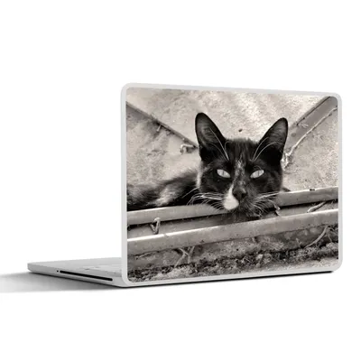Produktbild von MuchoWow® Laptop Aufkleber Sticker Cover Nahaufnahme einer Katze 31x22.5 cm - Laptop-Deko