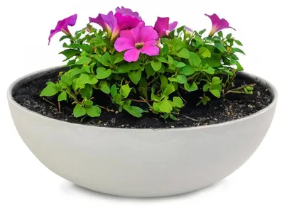 Produktbild von Pflanzschalen für draussen Dekoschalen rund beige grau 25 cm