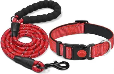 Produktbild von Reflexionshalsband mit atmungsaktiver Neoprenbespannung, verstellbare Nylonhalsbänder für kleine bis mittelgroße Hunde