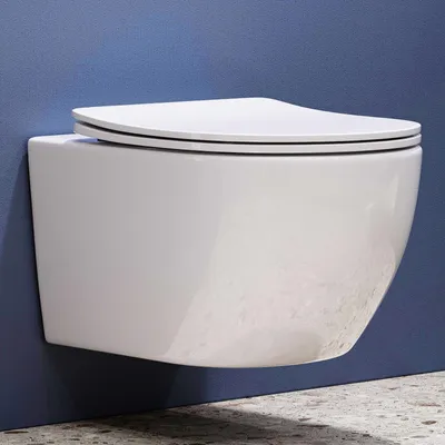 Immagine prodotto di HOROW Washdown WC bianco WC sospeso WC sospeso con sedile soft-close WC rotondo Vaso da bagno per bagno