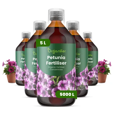 Produktbild von Petunien Flüssigdünger 5x1L – 2-1-8 NPK – Flüssig-Pflanzendünger für Petunien – Organifer
