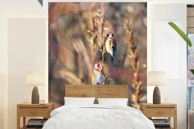 Produktbild von MuchoWow® Fototapete für Wohnzimmer oder Schlafzimmer Wandtapete Vinyl Motivtapete Vögel - Äste - Wald - 190x260 cm - Papiertapete