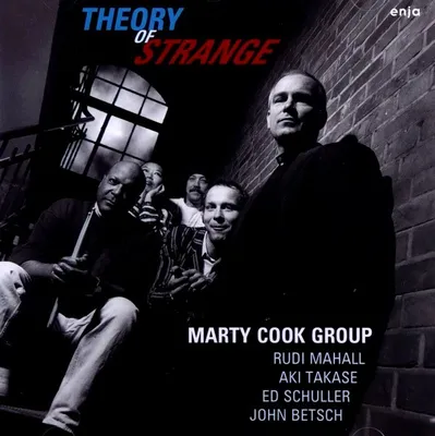 Produktbild von Theory of Strange