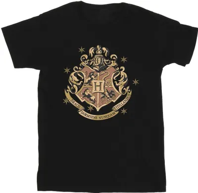 Produktbild von Harry Potter - T-Shirt für Herren BI30898 (4XL) (Schwarz)