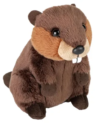 Obrázok produktu pre Plyš kapsáčik bobor 13 cm ECO WR