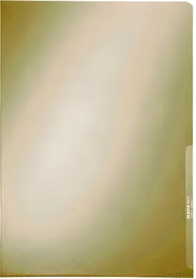 Obrázok produktu pre Esselte Leitz 41000015 - A4 - 100 Stück(e)